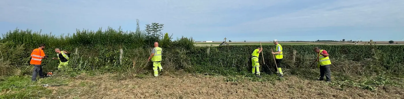 Chantier d'insertion